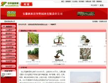 Tablet Screenshot of ajiao.yuanlin365.com